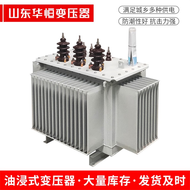S13-10000/35偃师偃师偃师油浸式变压器厂家